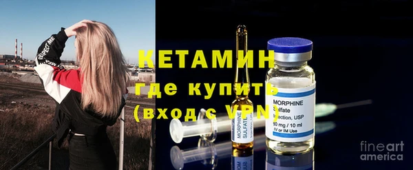 сатива Гусь-Хрустальный