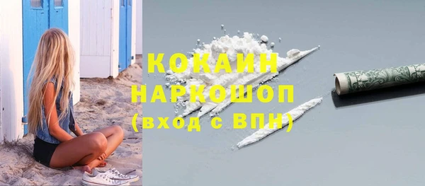 сатива Гусь-Хрустальный