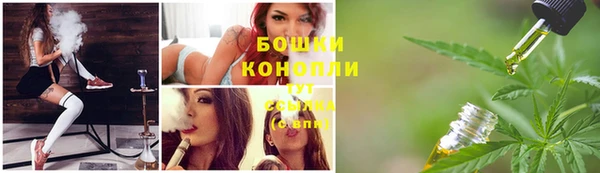 СК Дмитриев