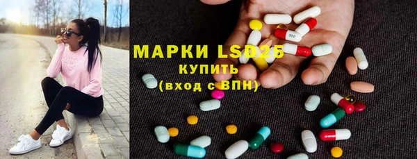 сатива Гусь-Хрустальный