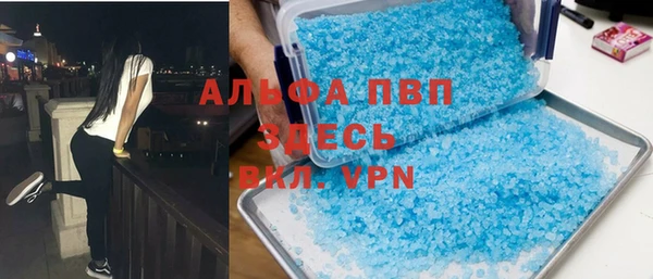 сатива Гусь-Хрустальный