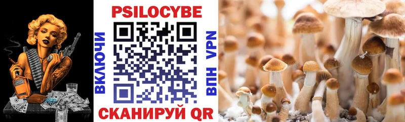 Купить закладки  Канаш  Галлюциногенные грибы прущие грибы 