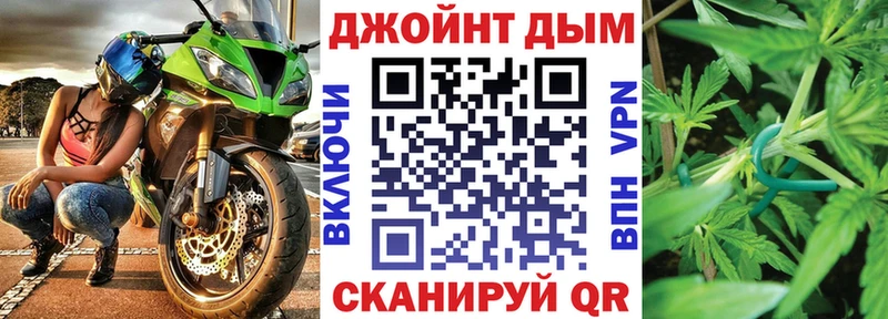 Бошки марихуана Amnesia  Купить где  Канаш 